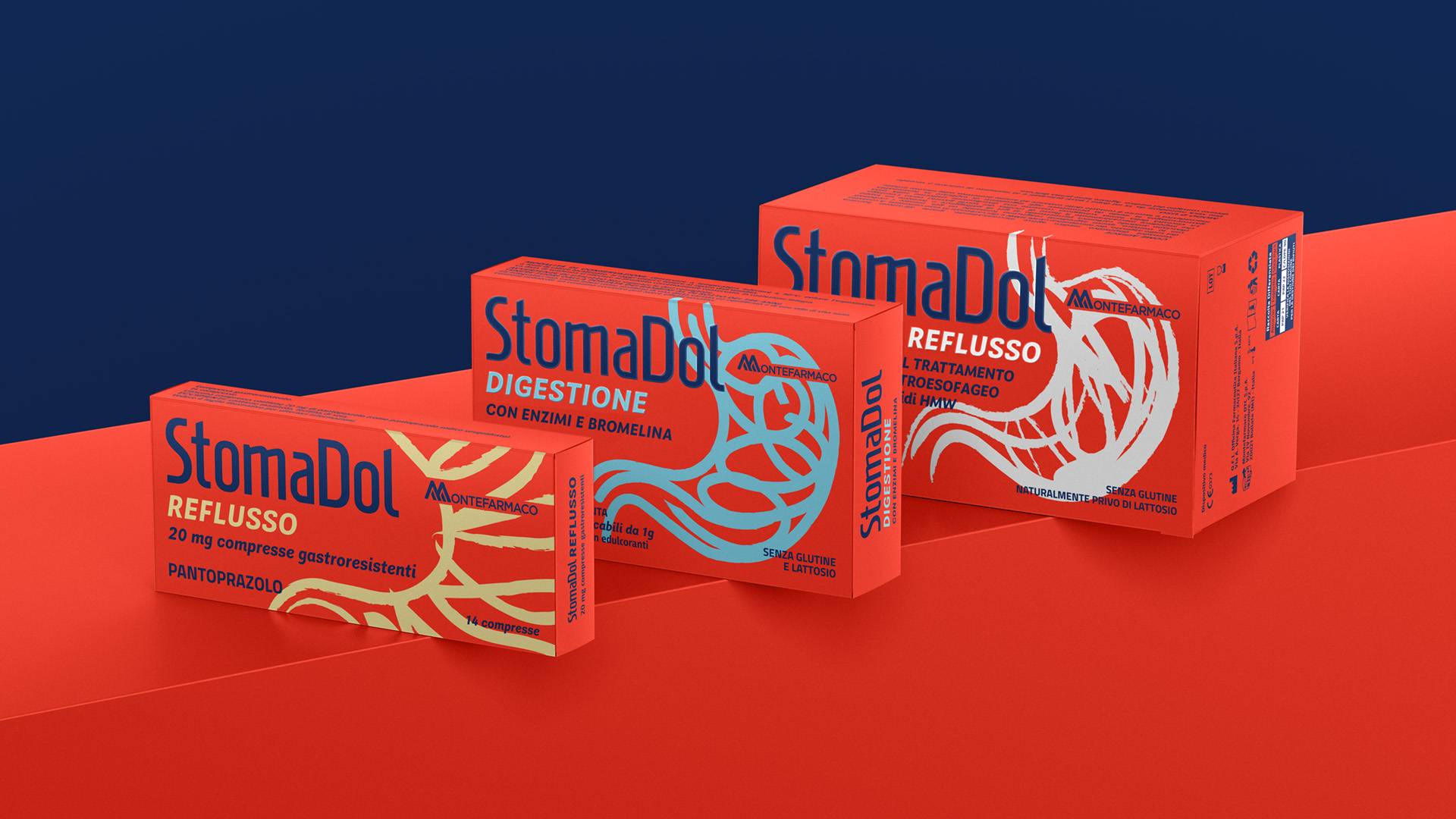 StomaDol:<br>an impactful leader is coming