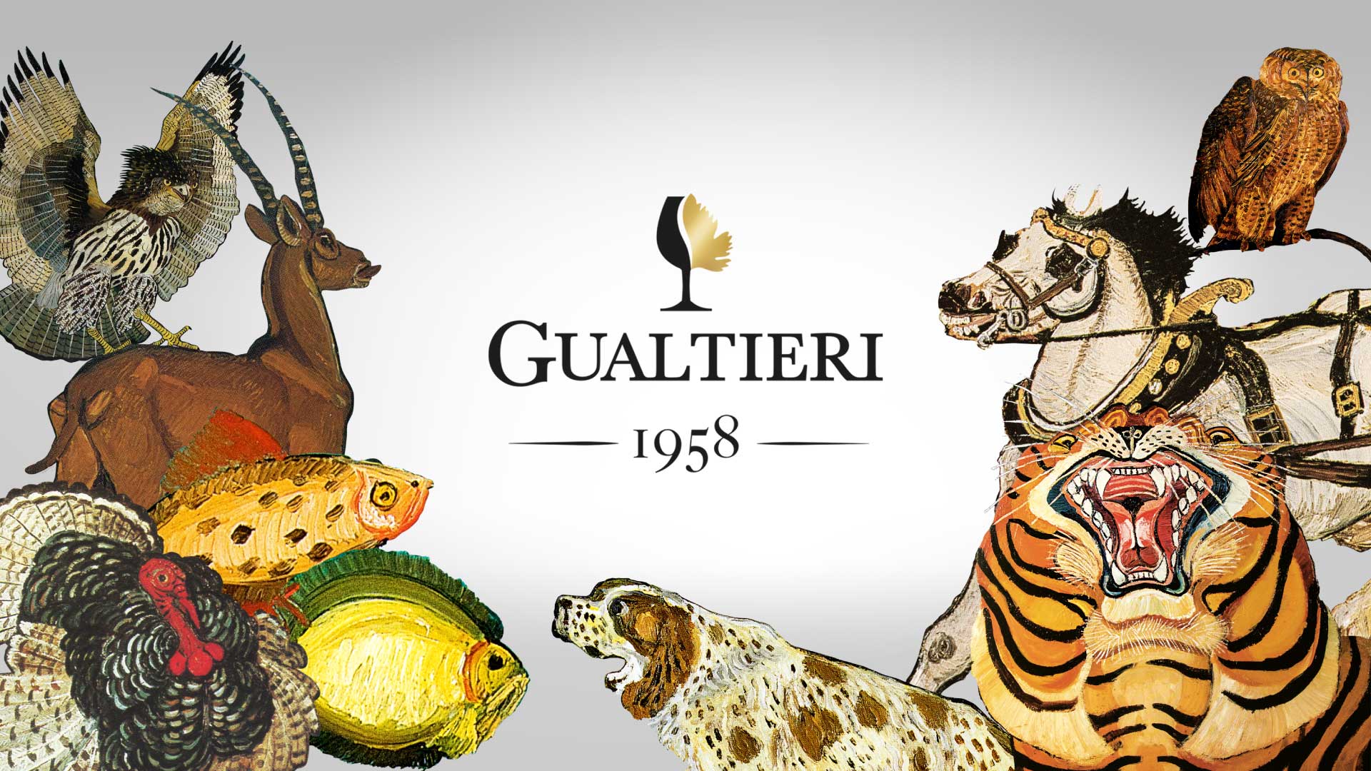 Gualtieri Brand & Product Repositioning